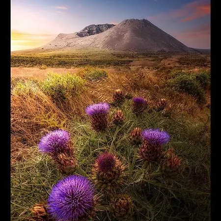Lägenhet Casa Su Lanzarote Puerto del Carmen (Lanzarote)