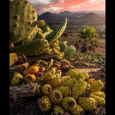 Lägenhet Casa Su Lanzarote Puerto del Carmen (Lanzarote)
