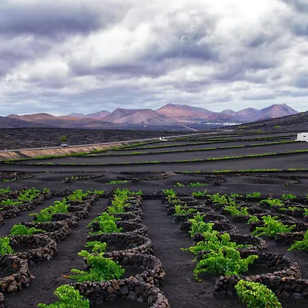 公寓 Casa Su Lanzarote