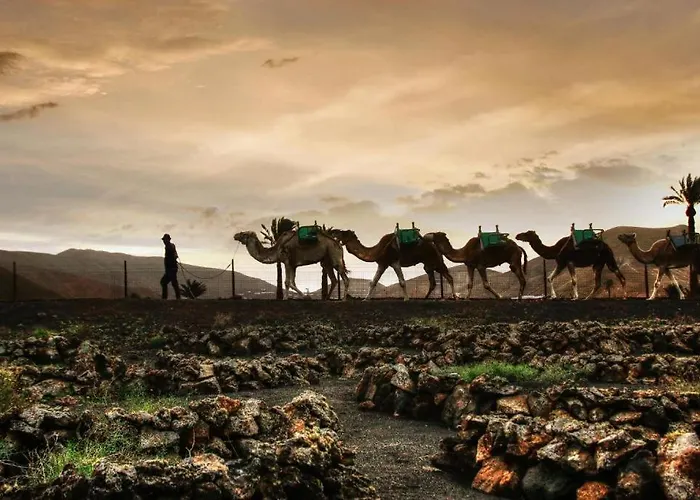 Casa Su Lanzarote 卡门港