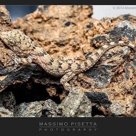 Apartment Casa Su Lanzarote *