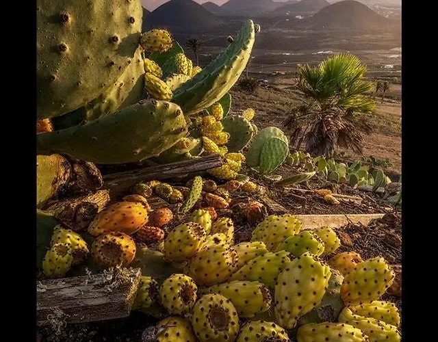 Appartamento Casa Su Lanzarote Puerto del Carmen (Lanzarote)