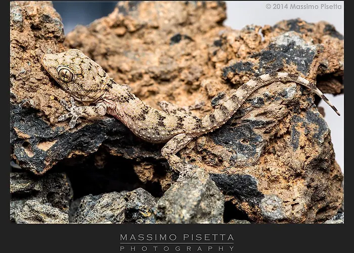 Apartman Casa Su Lanzarote *